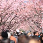 山崎元氏の「新入社員向けスピーチ原稿」に賛同